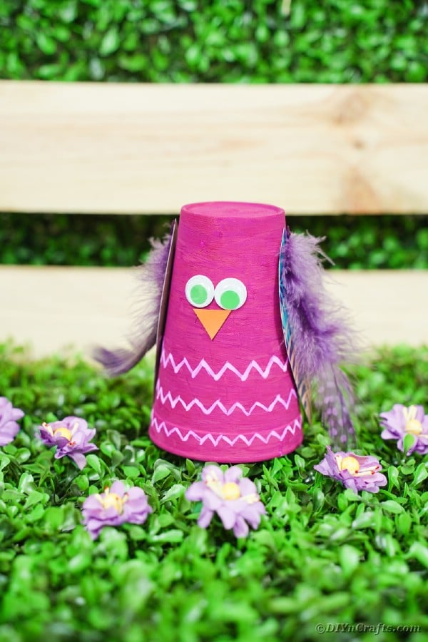 Plastic cup owl in front of wooden box