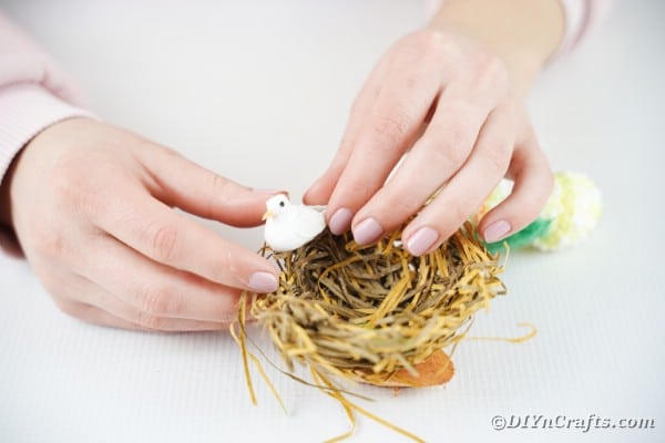 Gluing bird inside birds nest