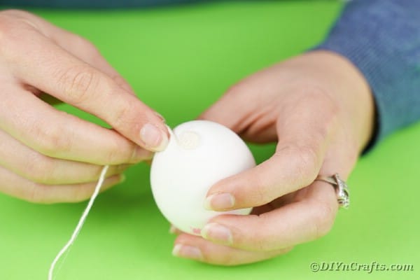 Gluing end of yarn to egg