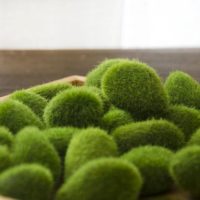 Artificial Moss Ball
