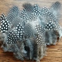 Cruelty Free Guinea Feathers for Crafting
