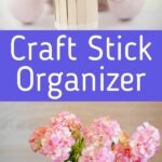 Craft stick organizer can collage