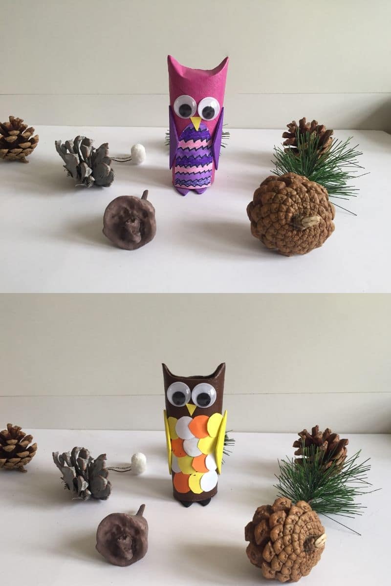 Toilet paper roll owls