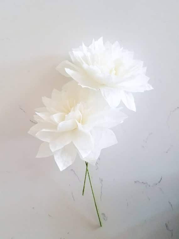 Dahlia Paper Flowers