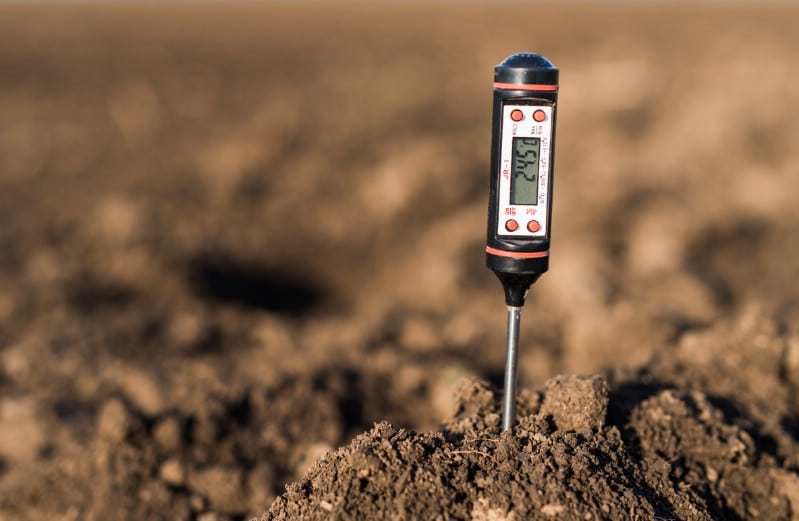 Measuring the soil's pH.