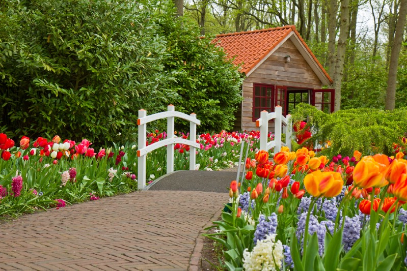 Cozy cottage with a big flower garden