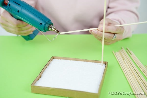 Placing skewers into styrofoam