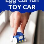 Woman holding egg carton car