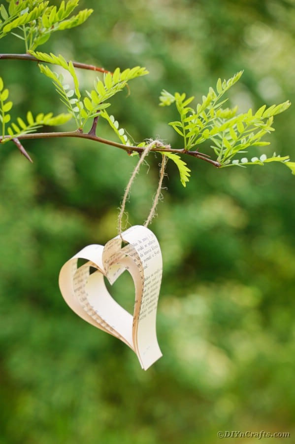 Single paper heart on a tree branch