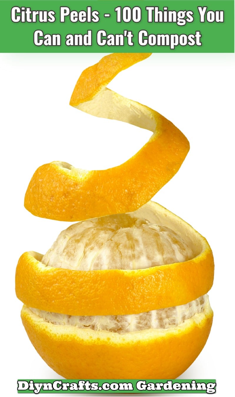 Citrus Peels