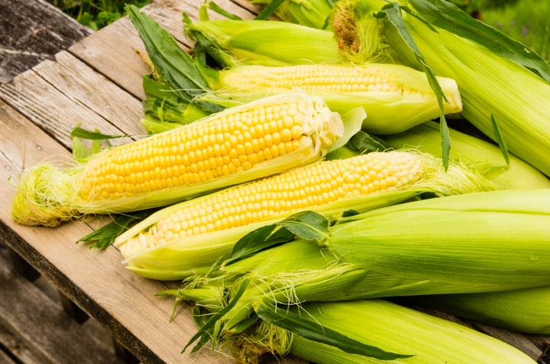 Corn