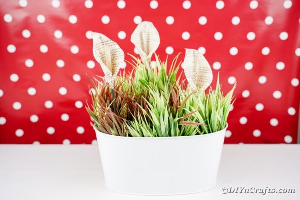 Book page calla lillies in glass cloche