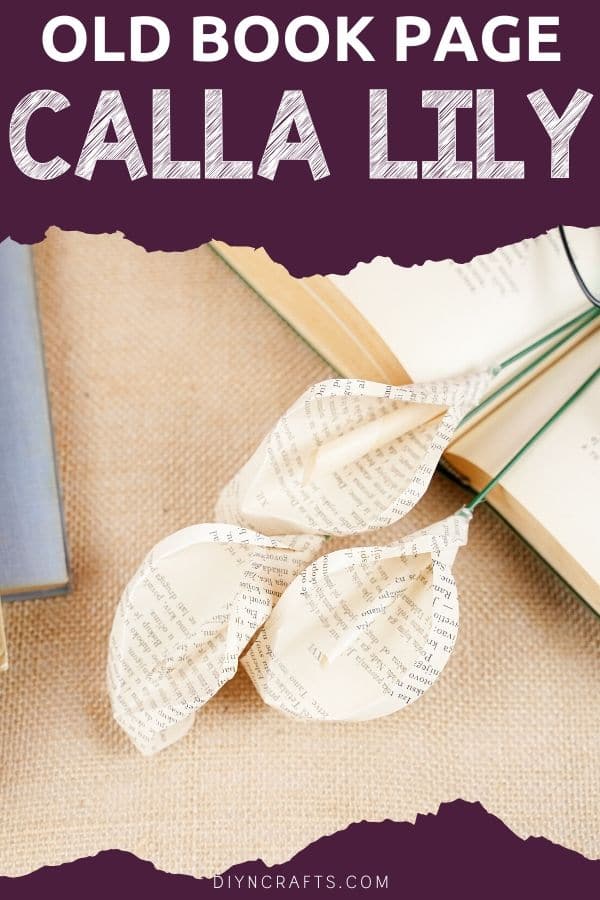 Calla lilies on book