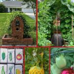 Collage d'astuces de jardin