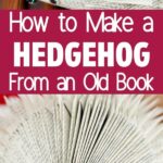 Old Book Hedgehog collage