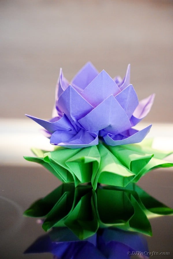 Purple paper lotus on black table