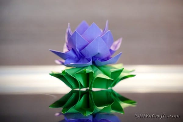 Lotus en papier violet sur tableau noir