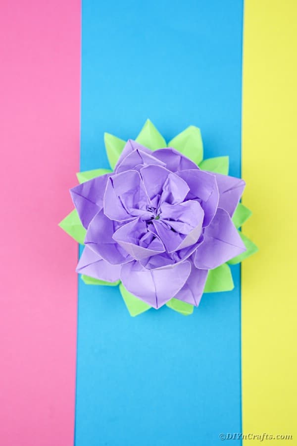 Vijolični papirnati lotos na barvitem papirju