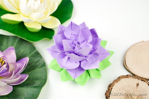 Lotus en papier violet sur papier coloré