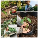 garden hacks and tips