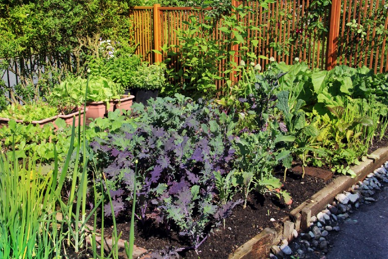 High-intensity gardening example