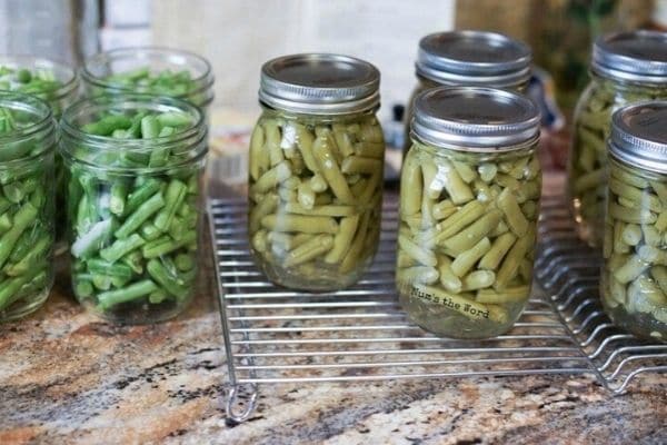 Green beans in mason jars