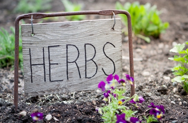 Wooden herb sign