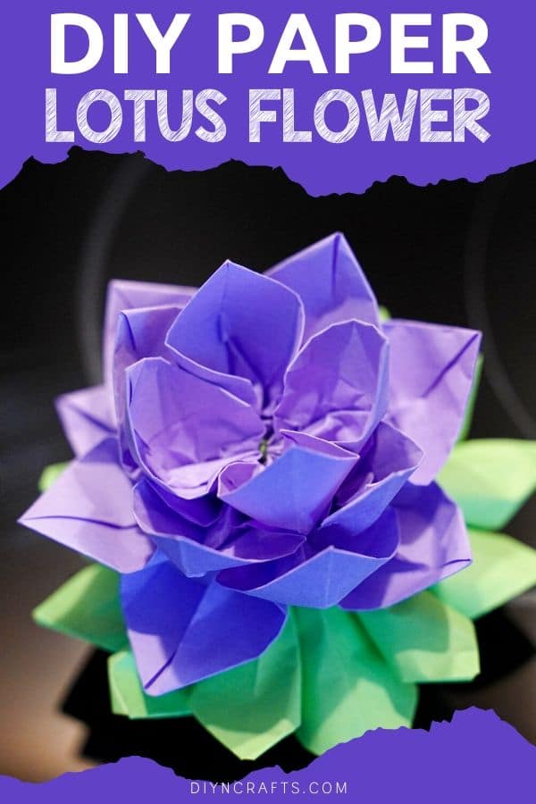 Purple paper lotus on black table