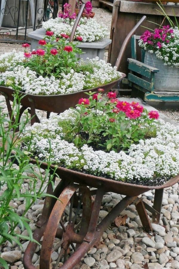 Wheelbarrow with white and pink flowers - vintage garden decor ideas