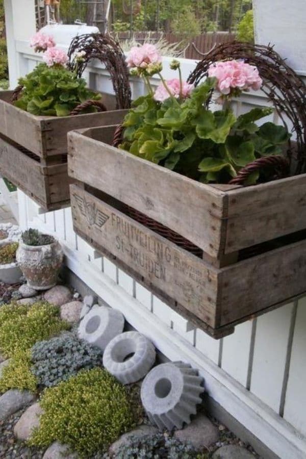Vintage fruit box planters on wall