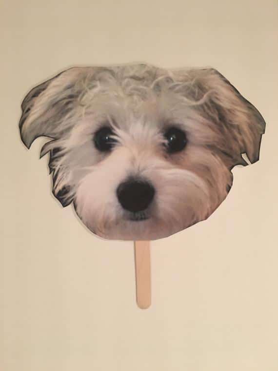 Picture on a Stick Dog Photo Prop Wedding Picture | Etsy