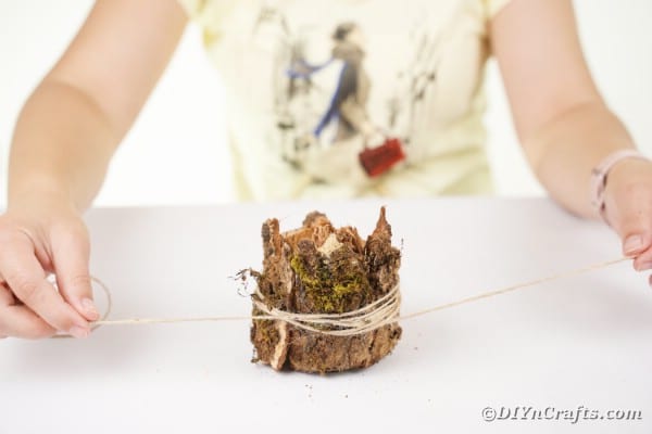 Tying twine around bark