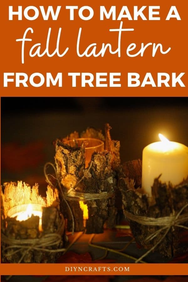 Tree bark lanterns lit on display