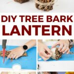 Tree bark lantern collage