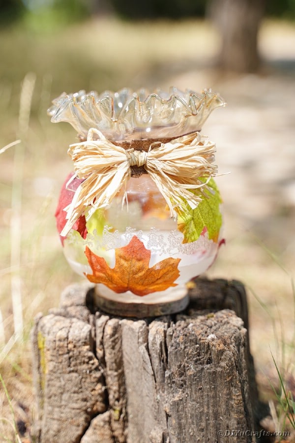 Glass fall lantern on a tree stump