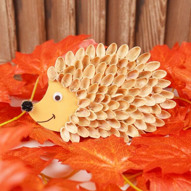 Pistachio shell hedgehog on fall leaves