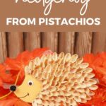 Pistachio hedgehog on fall leaves