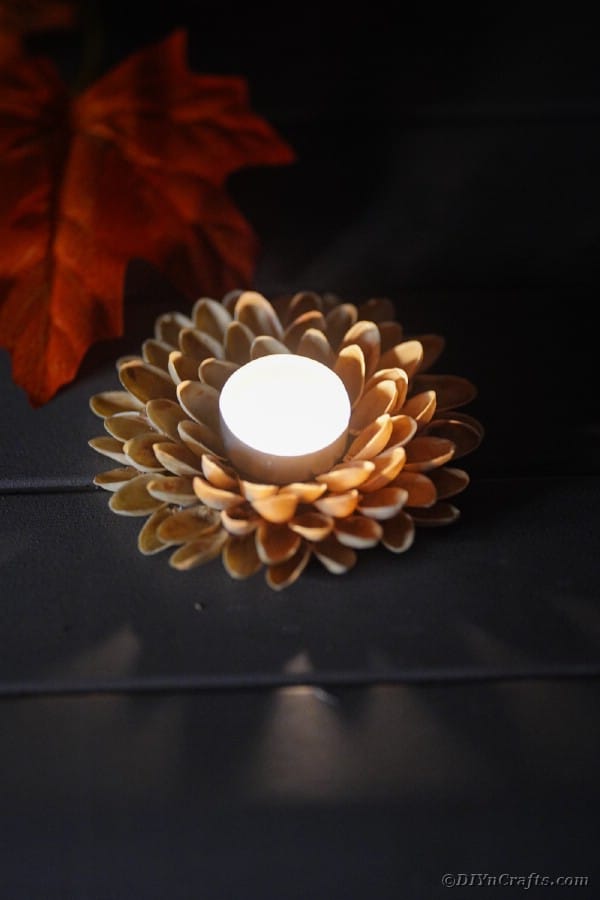 Pistachio shell candle holder lit