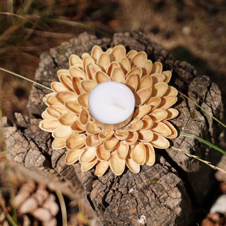 Pistachio shell candle holder on stump