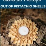 Pistachio shell candle holder on stump