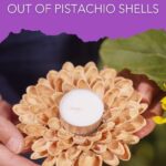 Woman holding a pistachio shell candle holder