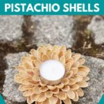 Pistachio candle holder on cobblestone