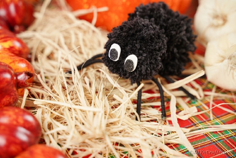 Black yarn spider on hay