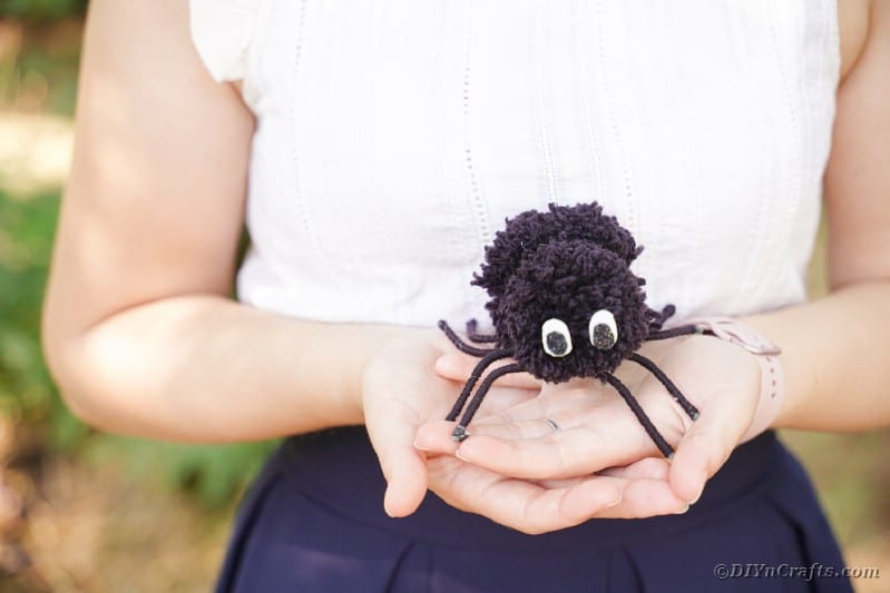 Woman holding a pom pom spider