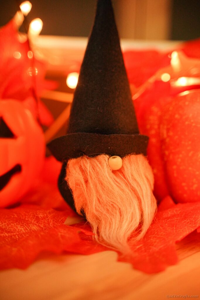 Gnome by plastic pumpkin