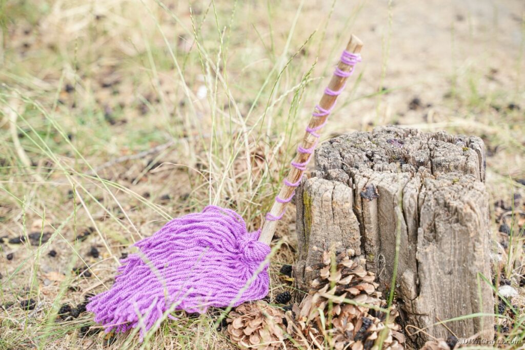 Witch broom against stump