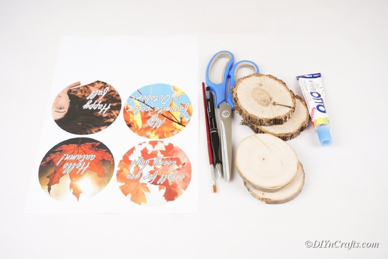 craft supplies pictures slices of wood 