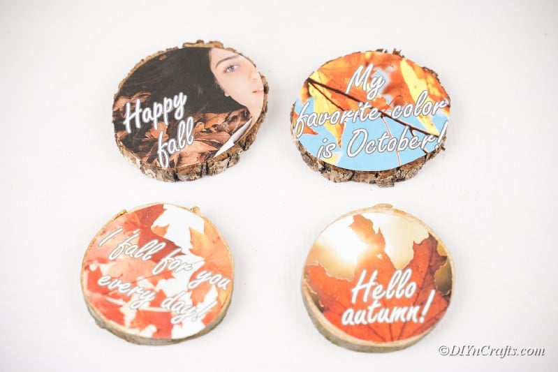 collection of wooden photos slices