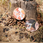 Fall themed wooden circles outside