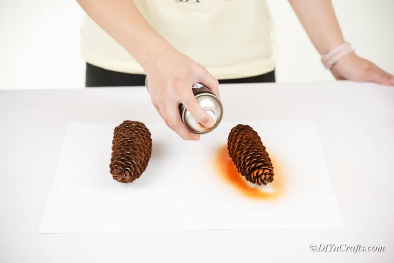 spray painting pinecone on table